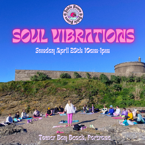 Subtle Poison Soul Vibrations - Sunday April 28th